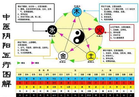 金生水意思|如何理解中医五行中的金生水？